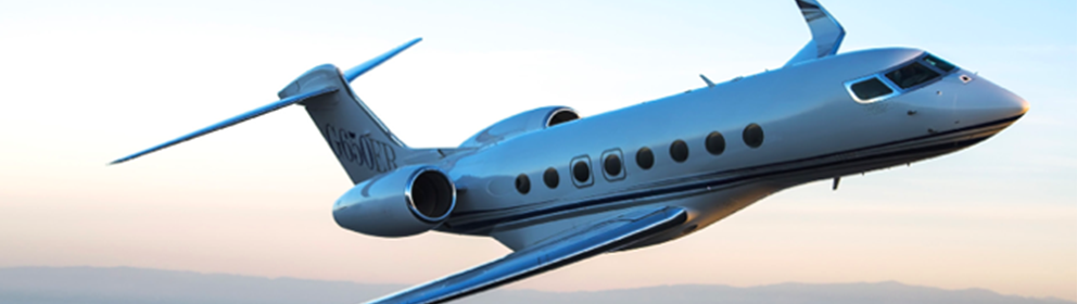 Event & Festival Organization